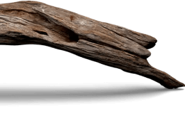 Ekomenta